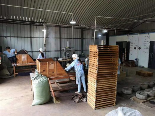 納新茶業(yè)2019年產(chǎn)品生產(chǎn)包裝車(chē)間現場(chǎng)