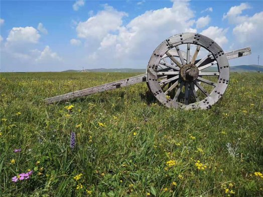 2019納新草原行 —— 黃花溝草原旅游區