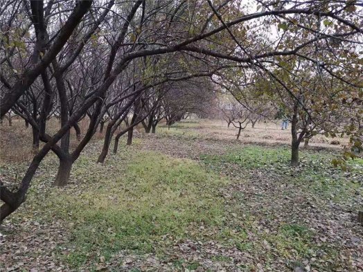 2019納新大同市靈丘縣長(cháng)城考察行 —— 靈丘縣蕭太后城遺址