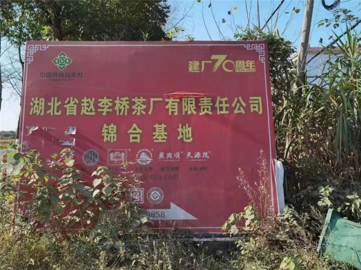 「探密羊樓洞明清石板街，尋訪(fǎng)中俄萬(wàn)里茶道起點(diǎn)」2020納新茶業(yè)羊樓洞行——