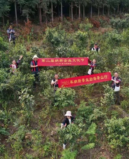 2021納新勐海茶山行 -- 納新基地