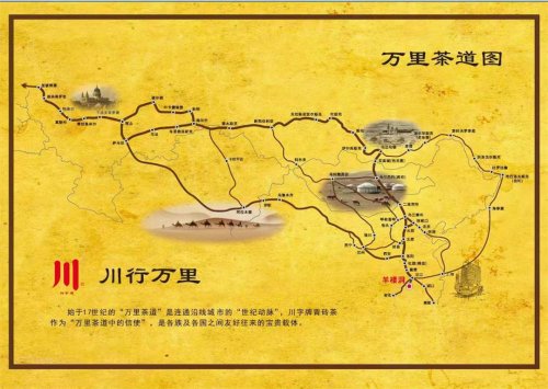 納新“萬(wàn)里茶道”行  第二天: 河南社旗（賒店古鎮）（5）