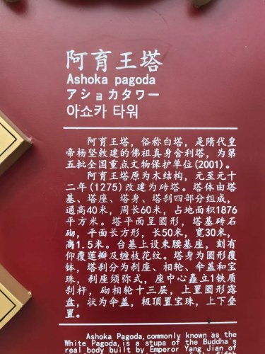 納新“萬(wàn)里茶道”行 第五天：山西忻州·阿育王塔