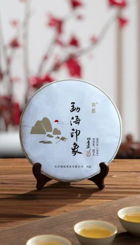 #2025納新茶業(yè)勐海茶山行——樣涵基地學(xué)茶品茶