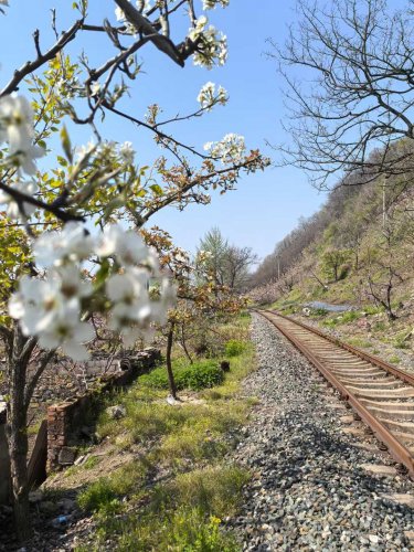上河口鐵路大橋