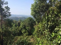 2017納新勐海茶山行——準備出發(fā)