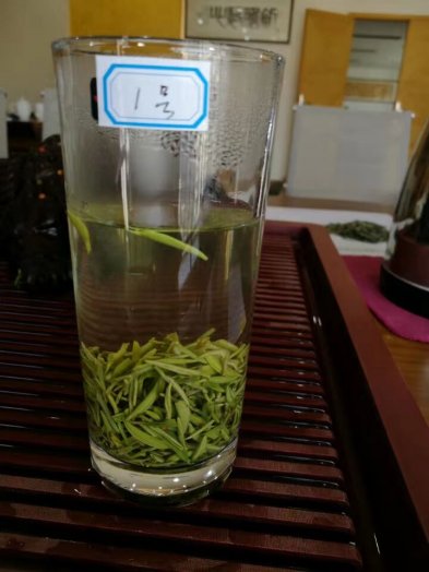 綠茶考題