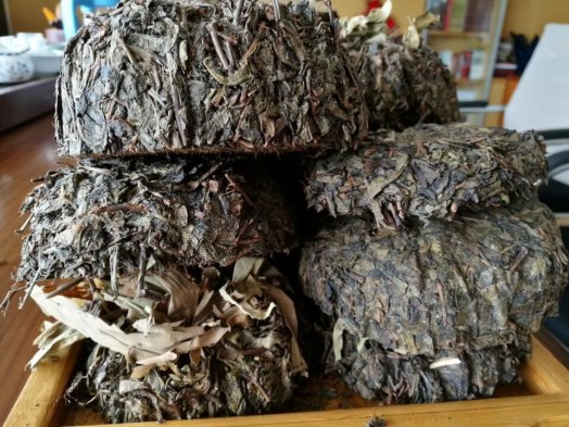 試喝納新百兩茶茶頭