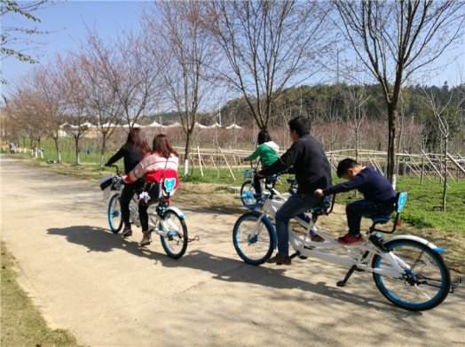 踏春游園（三）