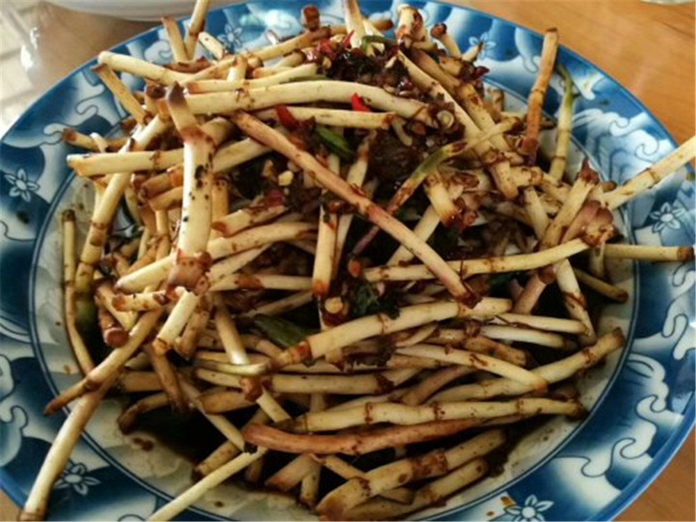 2018納新云南茶山行——午餐時(shí)間到 正宗勐海特色