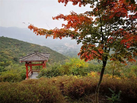 2018納新賞秋記 —— 定軍山