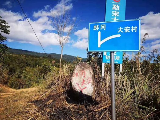 2018納新勐海茶山行 —— 勐宋蚌岡