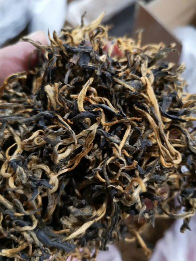 向大家推薦2019年頭春紅茶
