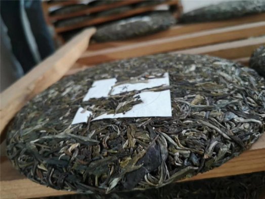 納新2019年8款山頭茶開(kāi)始壓制了！