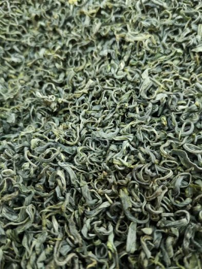 2019年貴州高山云霧綠茶 鮮嫩上市